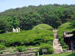 DSC03909.jpg