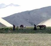 ho valley of dolpa.jpg